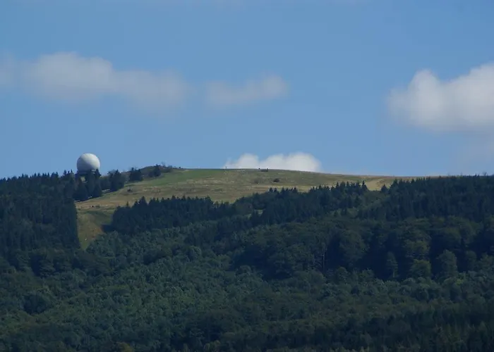 Дом отдыха Gerlingshof *